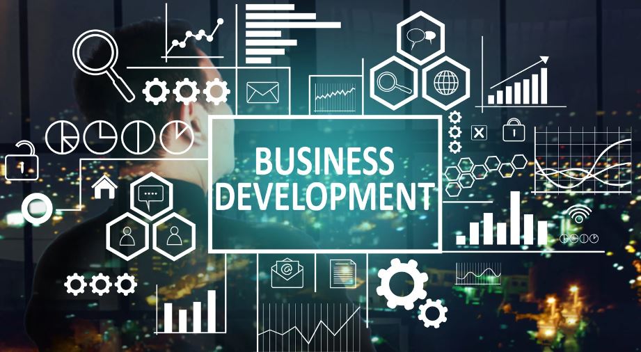 The Impact of Government Policies on Business Development
