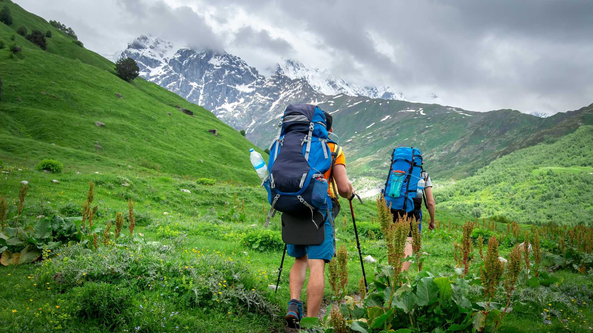 The Thrill of Monsoon Trekking