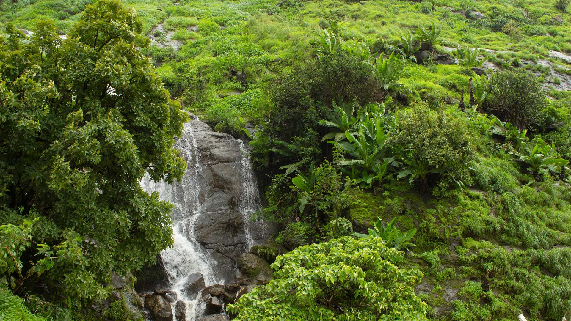 Waterfalls in Full Glory